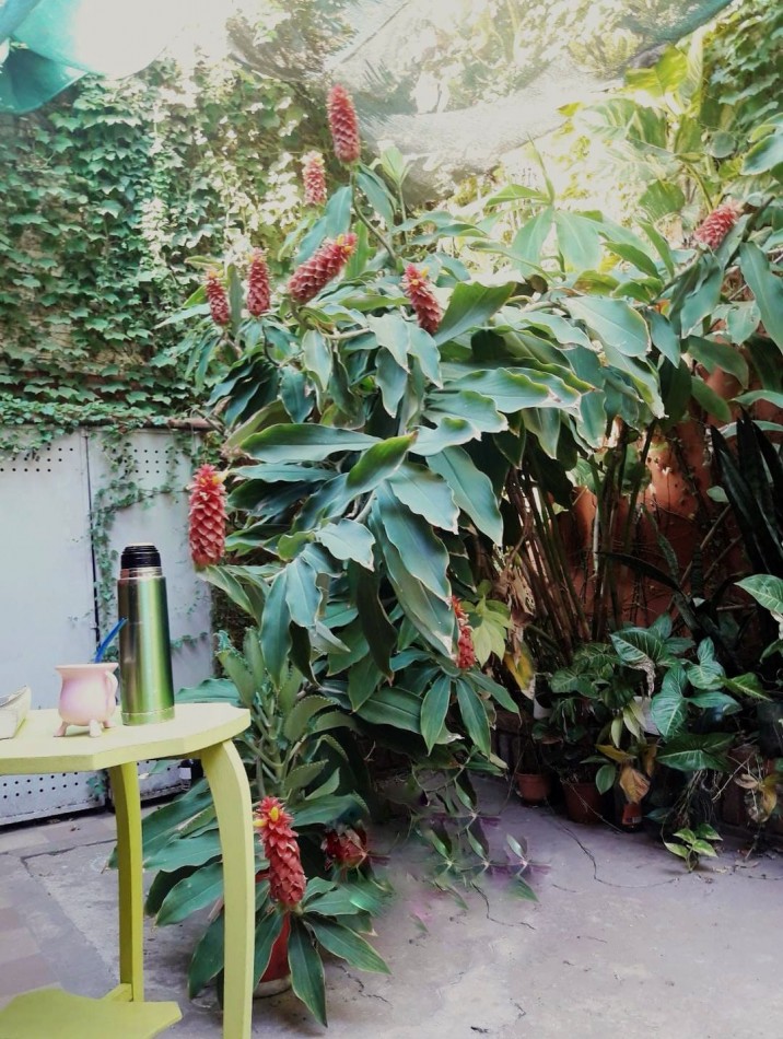 Casa en venta interno 3 dormitorios