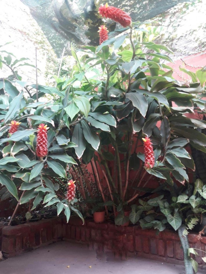 Casa en venta interno 3 dormitorios