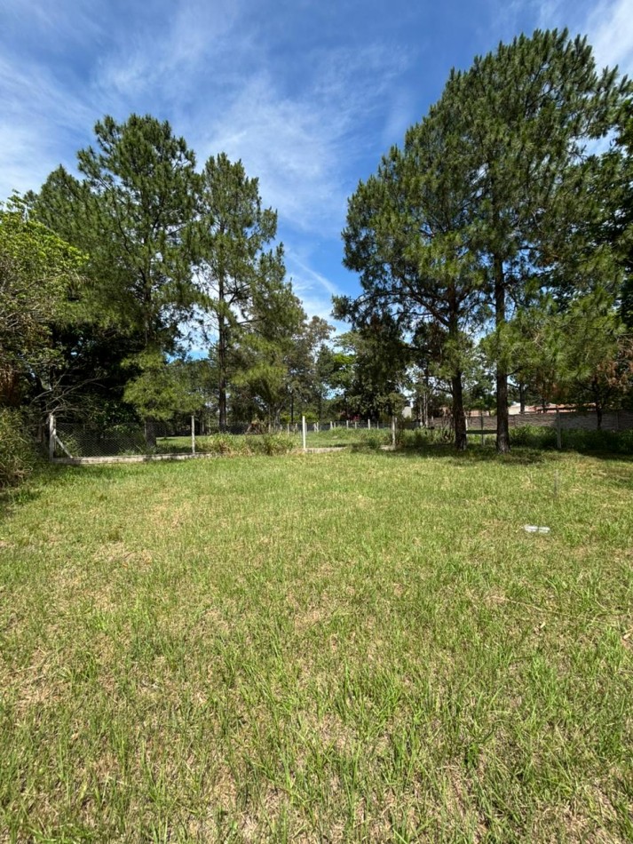 Proyecto de Cabañas en Bosques de La Salle - Una oportunidad unica de inversion