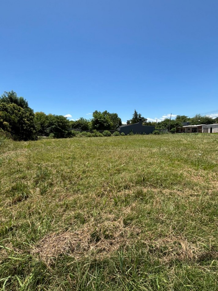 Lote de 400m2 en Adelina Centro