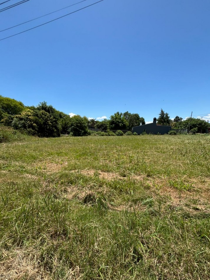 Lote de 400m2 en Adelina Centro