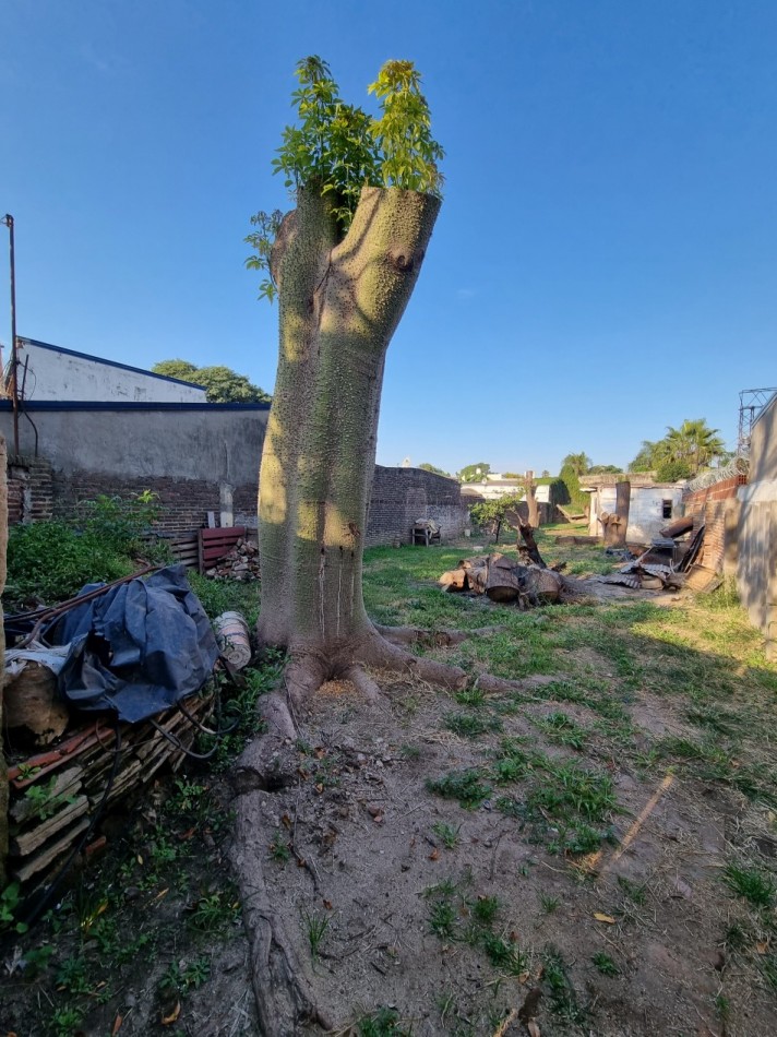 Lote 450m2 en Santo Tome