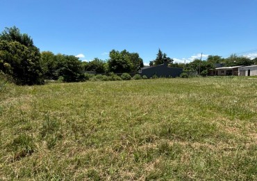 Lote de 400m2 en Adelina Centro